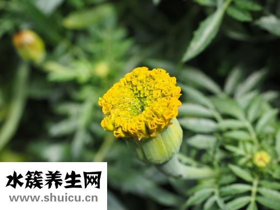怎么欣賞別人