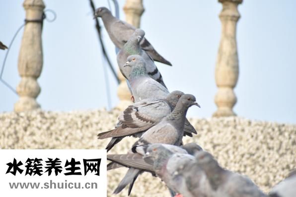 肌抽躍怎么辦