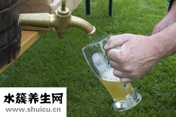 觀音竹怎么種