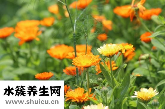 怎么欣賞別人