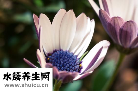 怎么欣賞別人