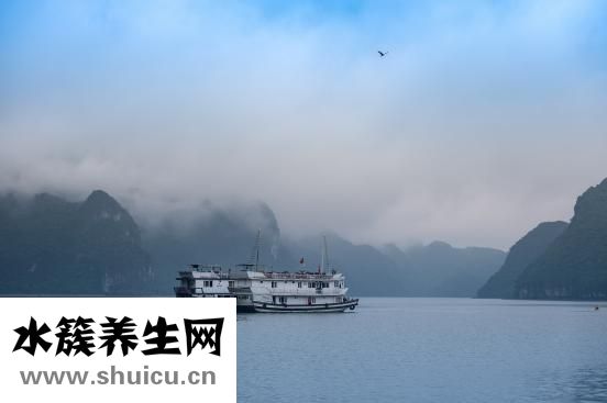 腿疼又麻木怎么辦