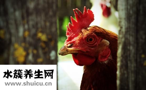 油頭怎么梳