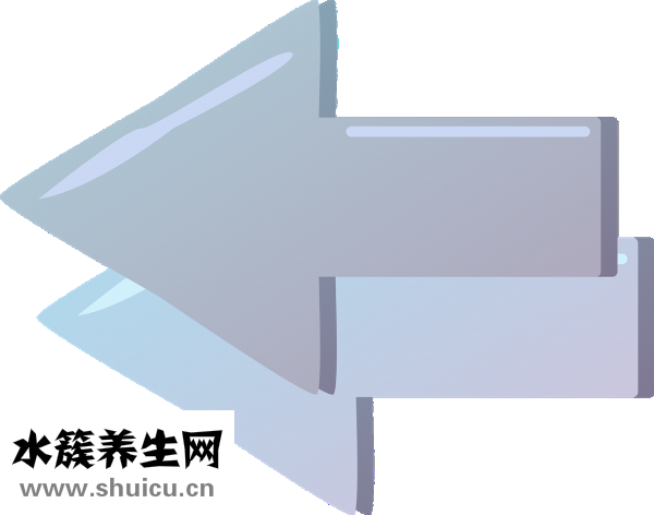 褙子怎么穿
