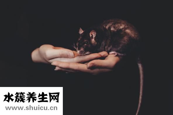 炸糕怎么加熱