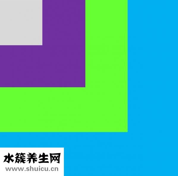 人參怎么挑選