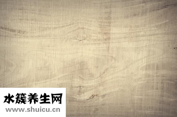 絲巾怎么看