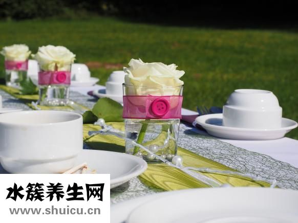 刺猬怎么減肥