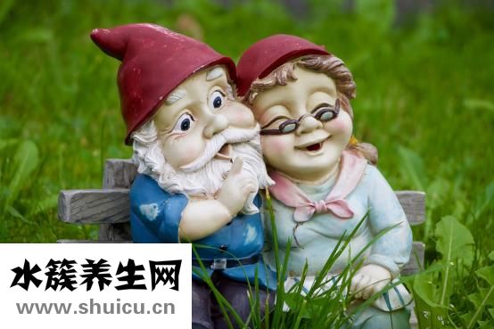 主婚人怎么當