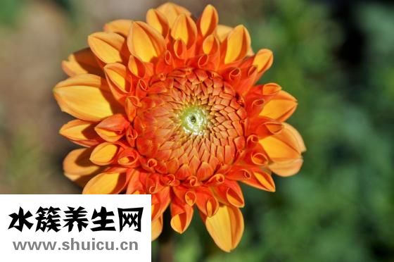 臥室的吊燈不怎么亮