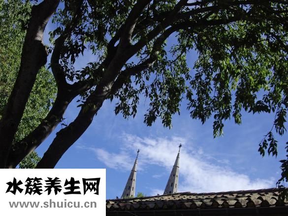 體內濕邪重怎么辦