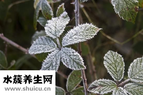 凍臉怎么預防