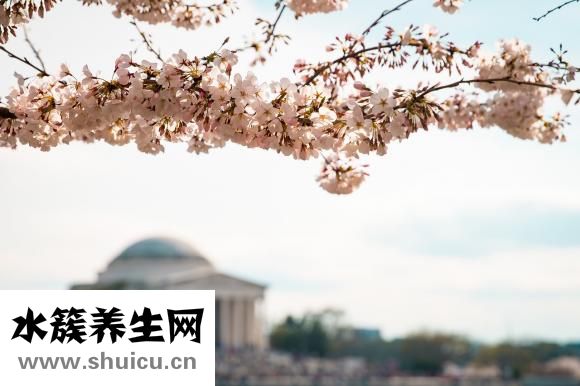 產后發燒咳嗽怎么辦