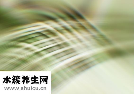 壓力胖怎么辦