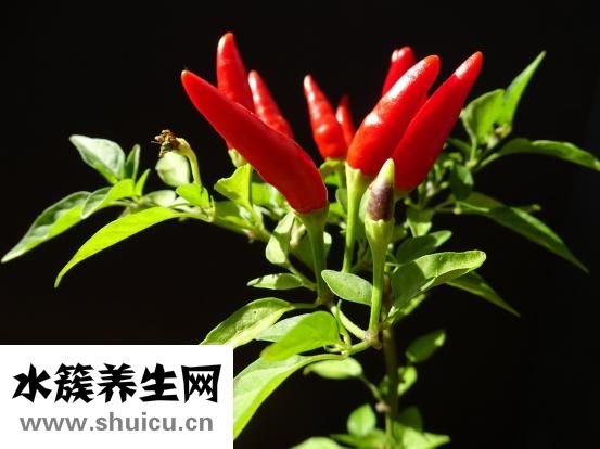 卷飯怎么做