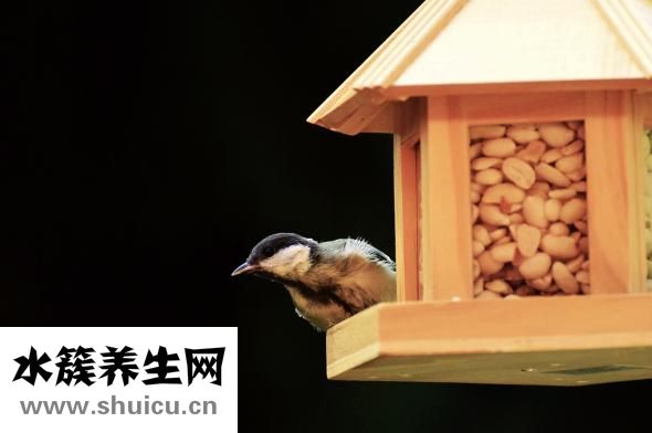 卷飯怎么做