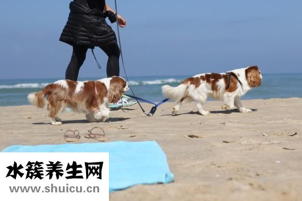 冰敷怎么弄