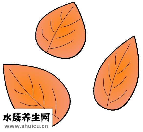 會陰高怎么量
