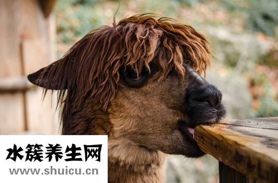 咽痛耳朵癢怎么回事