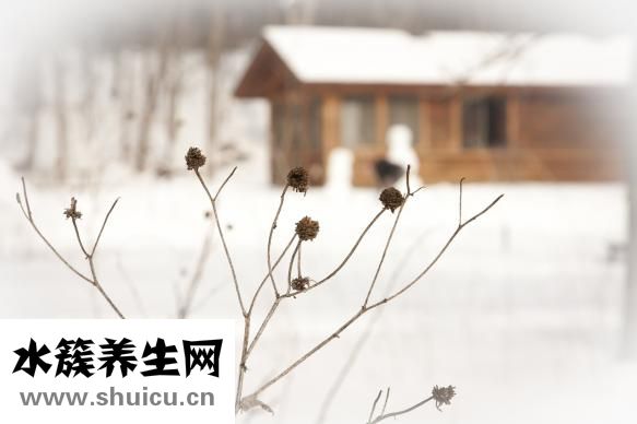 吵夜的寶寶怎么辦