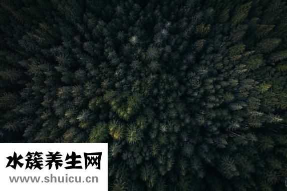 全聾怎么辦