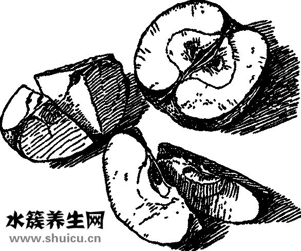 挫怎么組詞