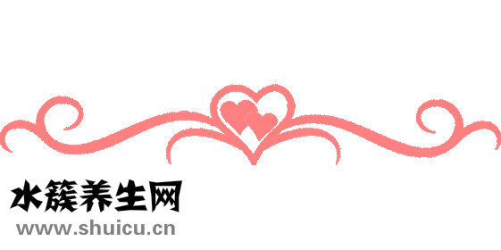 姜薯怎么種