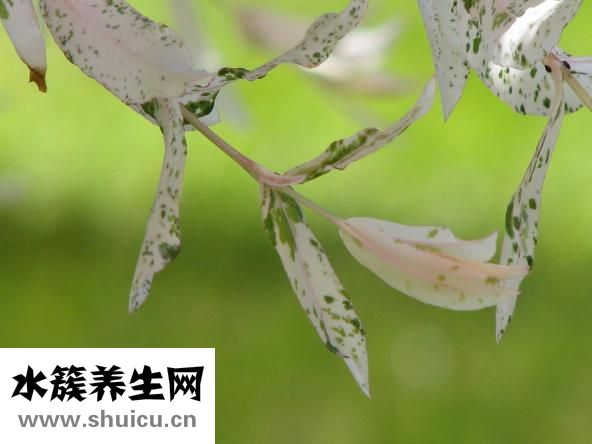 怎么利用風水旺人脈