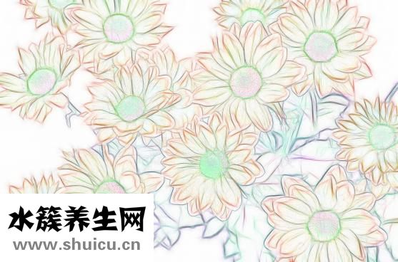 熟食怎么做服務上門