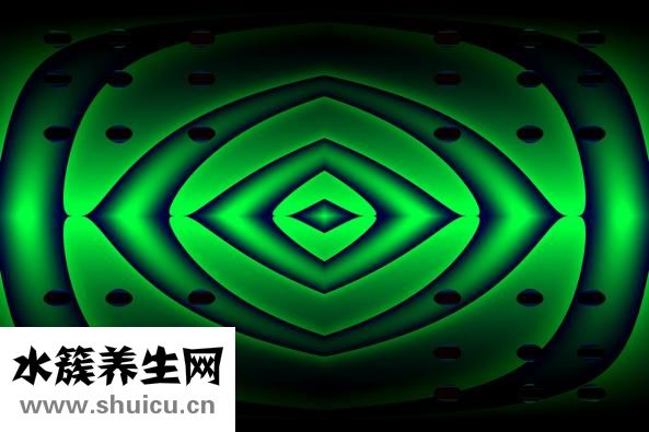 熟食怎么做服務上門