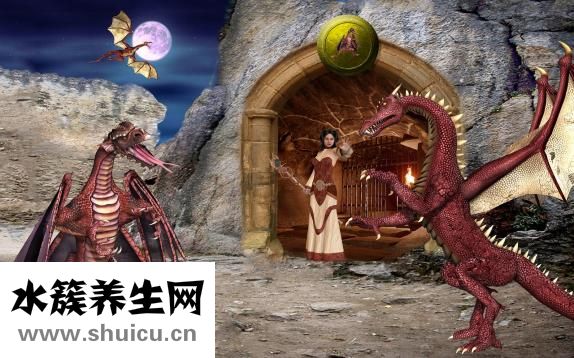 寶獅龍怎么了