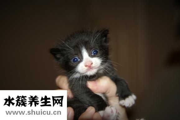 敷眼膜過敏怎么辦