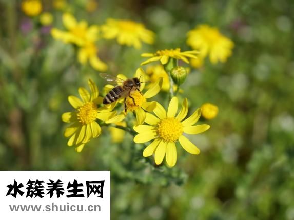 春天癢怎么辦