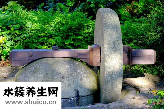肉松餅怎么做