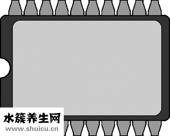 早孕棒怎么用