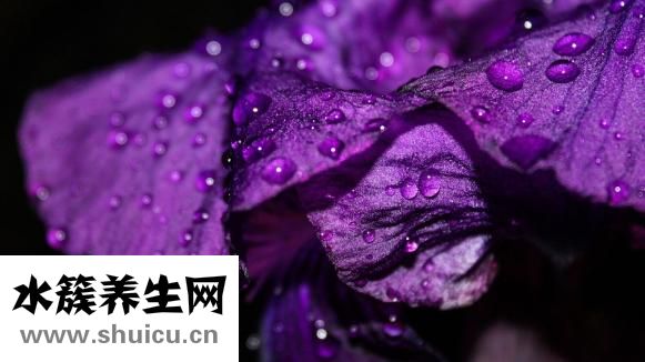 怎么虹膜變異