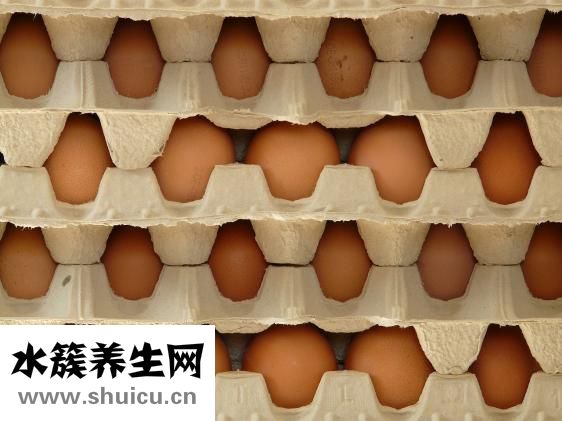 怎么帶便當