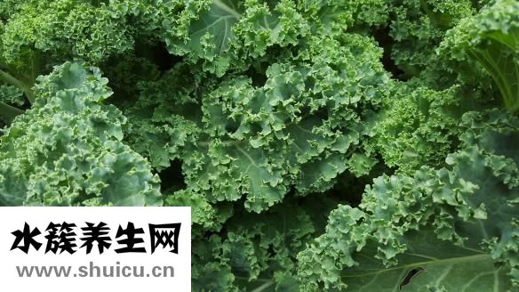 球芽甘藍怎么吃