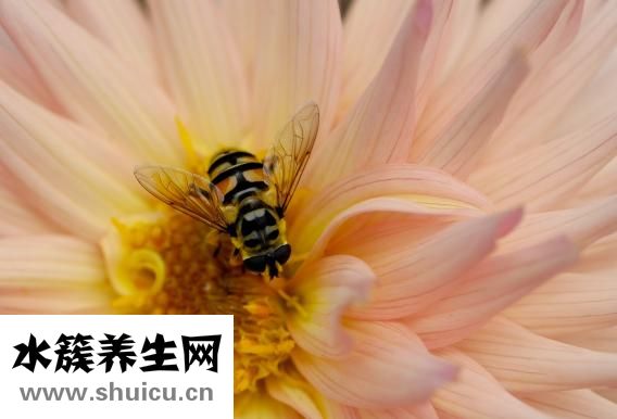 春天癢怎么辦