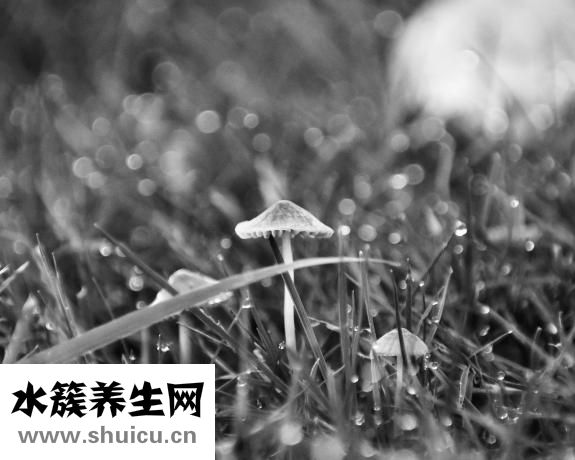 放屁蟲怎么辦