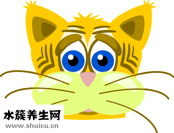用鹽怎么洗頭