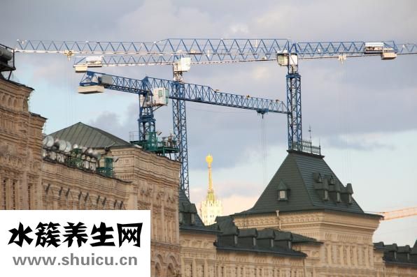 怎么把臉吃胖