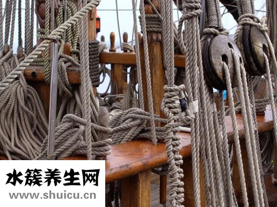 蚱蜢怎么編