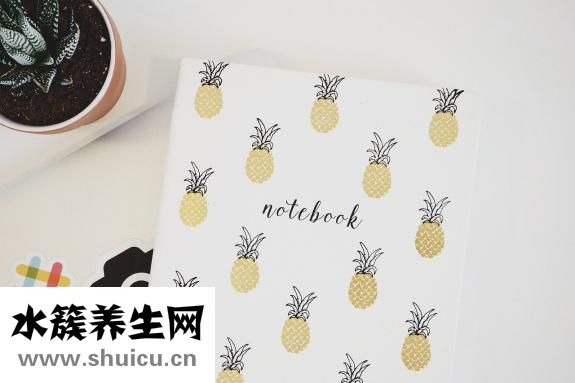 我貪玩怎么寫