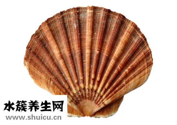 海螺吃了甲藻怎么辦