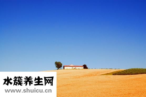 毛呢大衣腰帶怎么綁