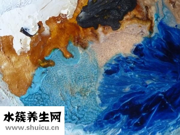 地瓜湯怎么煮