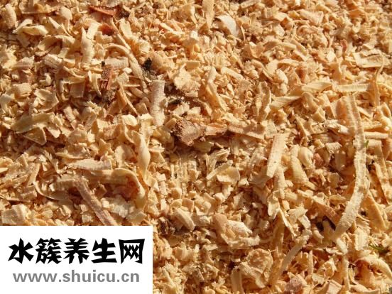 木頭味怎么除掉