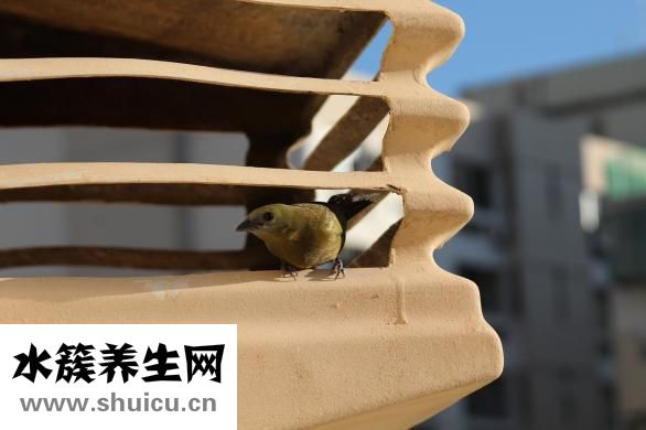 嘴巴怎么折