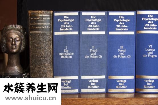 蓮子怎么煮粥